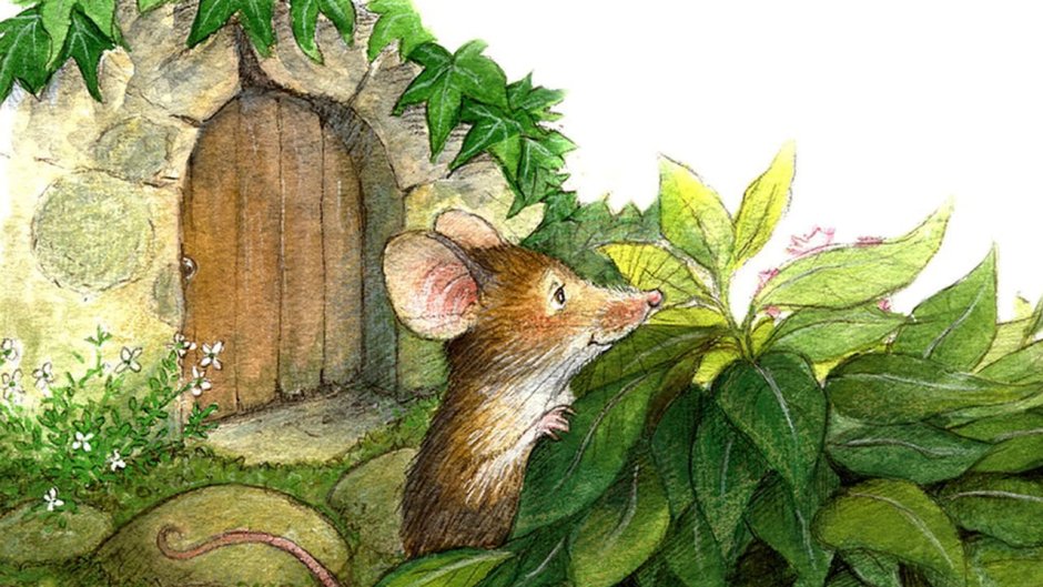 Иллюстратор Petra Brown