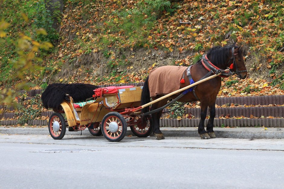 Лошадка с повозкой