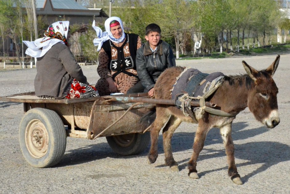 Повозка с ослом