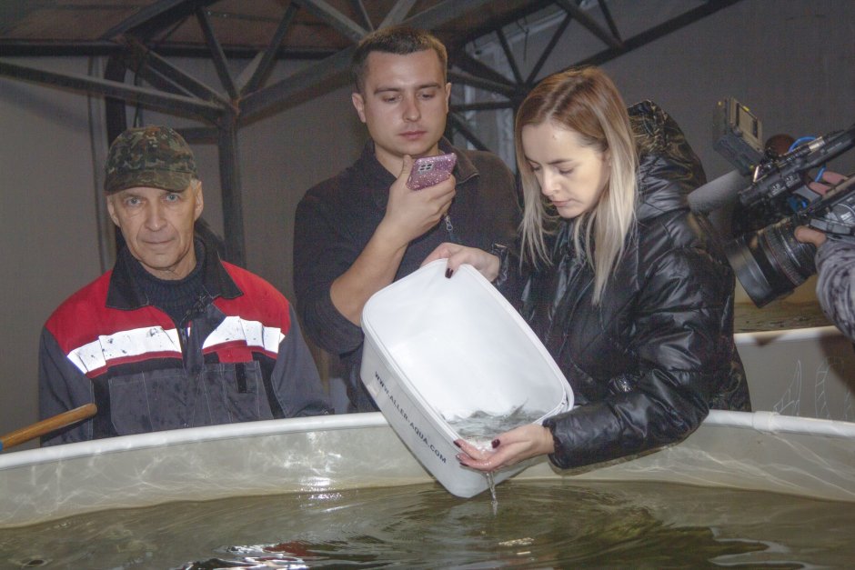 Волховский сиг