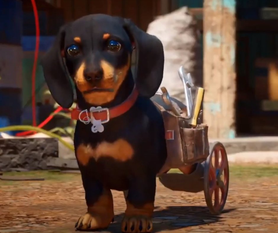 Чоризо far Cry 6