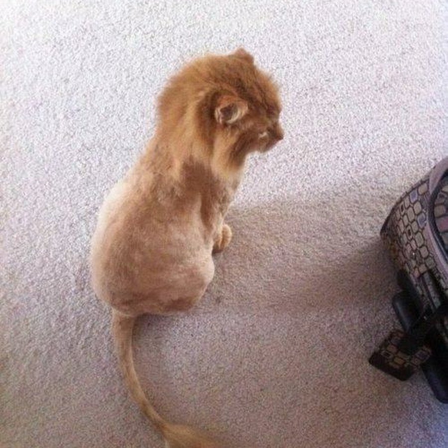 Уот в уосьюме Льыв