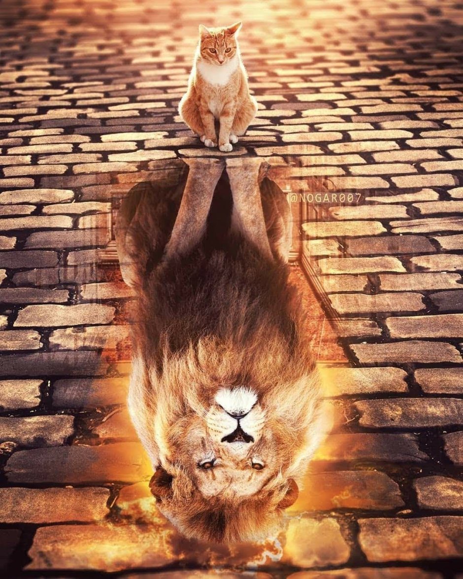 Геркулес Лигр тигролев Лигр