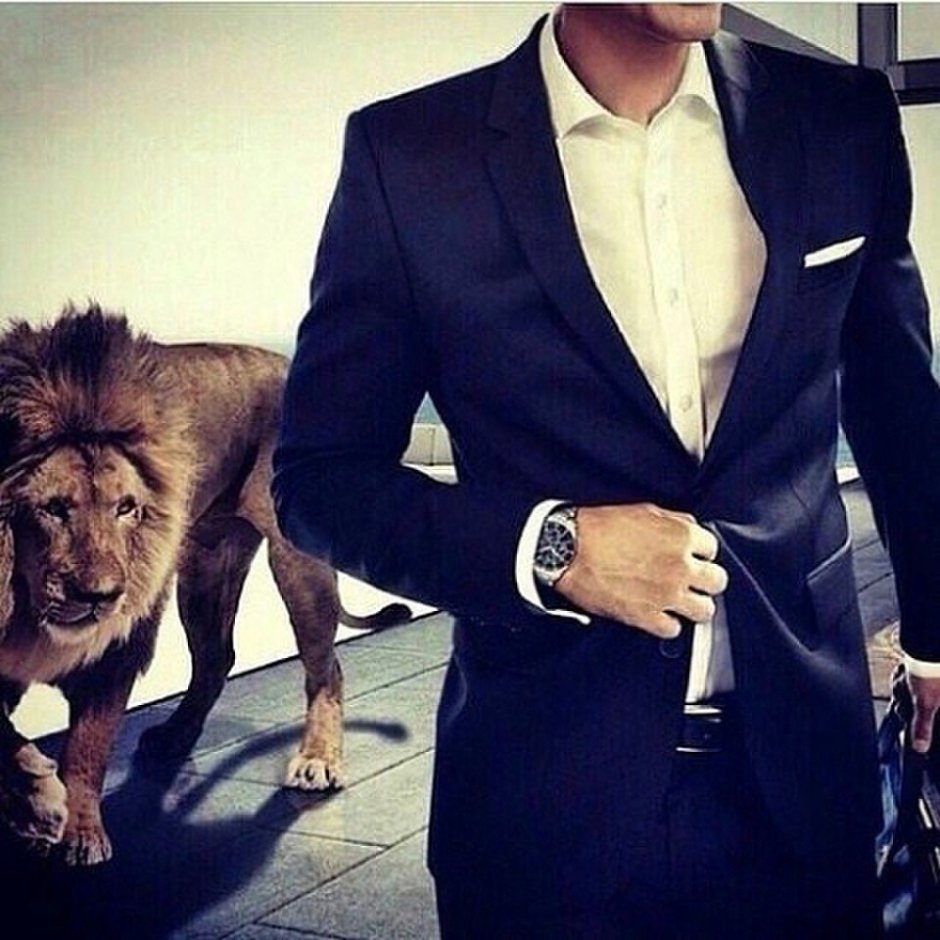 Котенок в отражении тигр