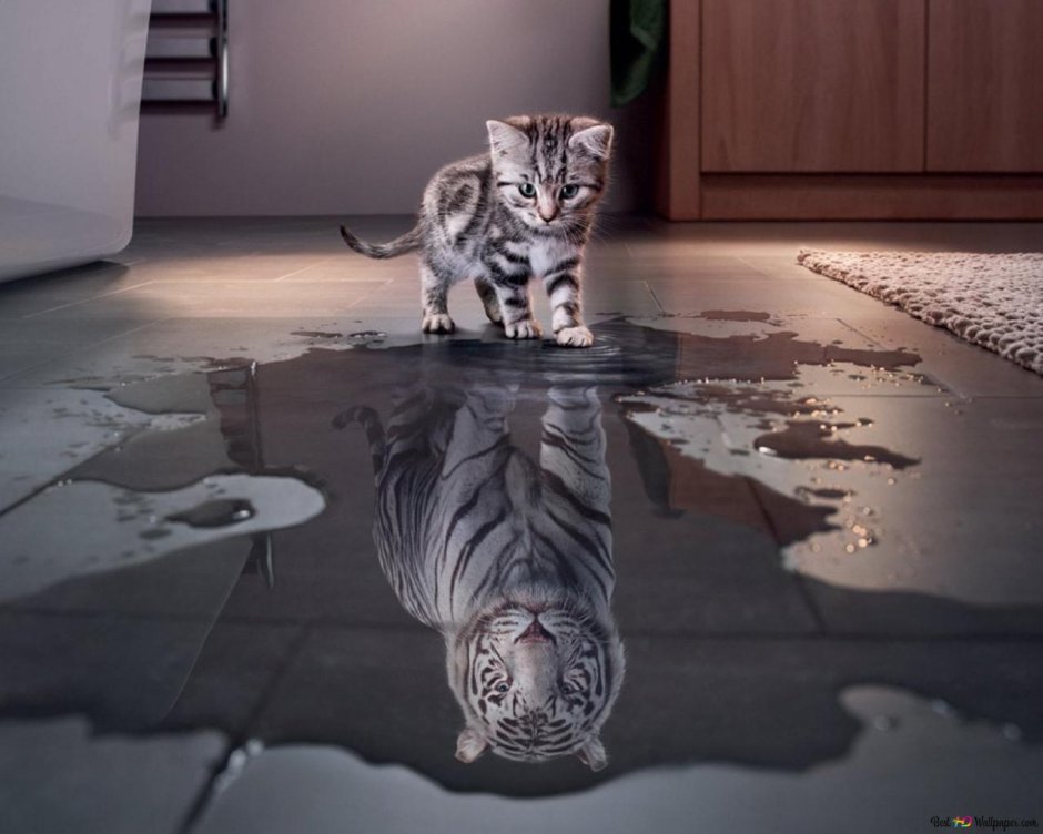 Спящий Львенок