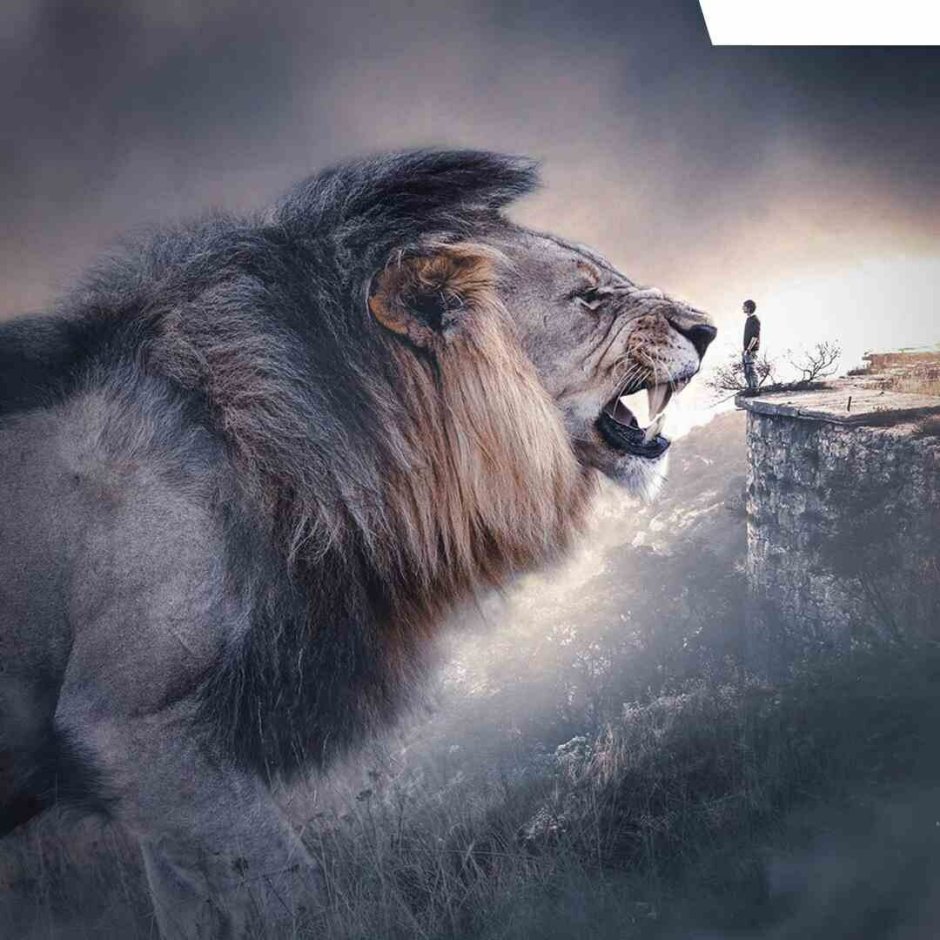 Страшное Лев селфи