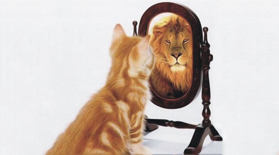 Котенок в зеркале Лев