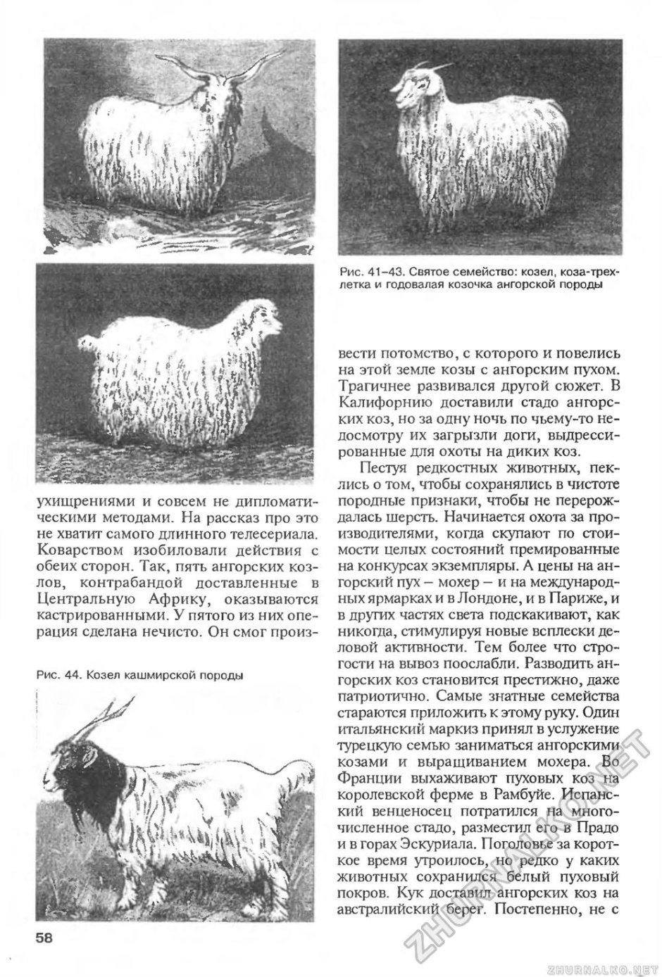 Пух ангорской козы