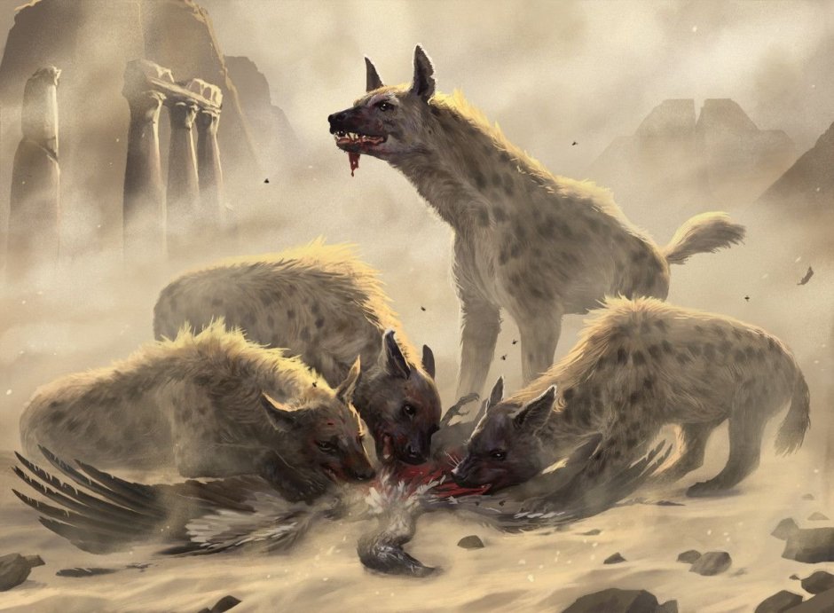 Волк лиса койот Шакал