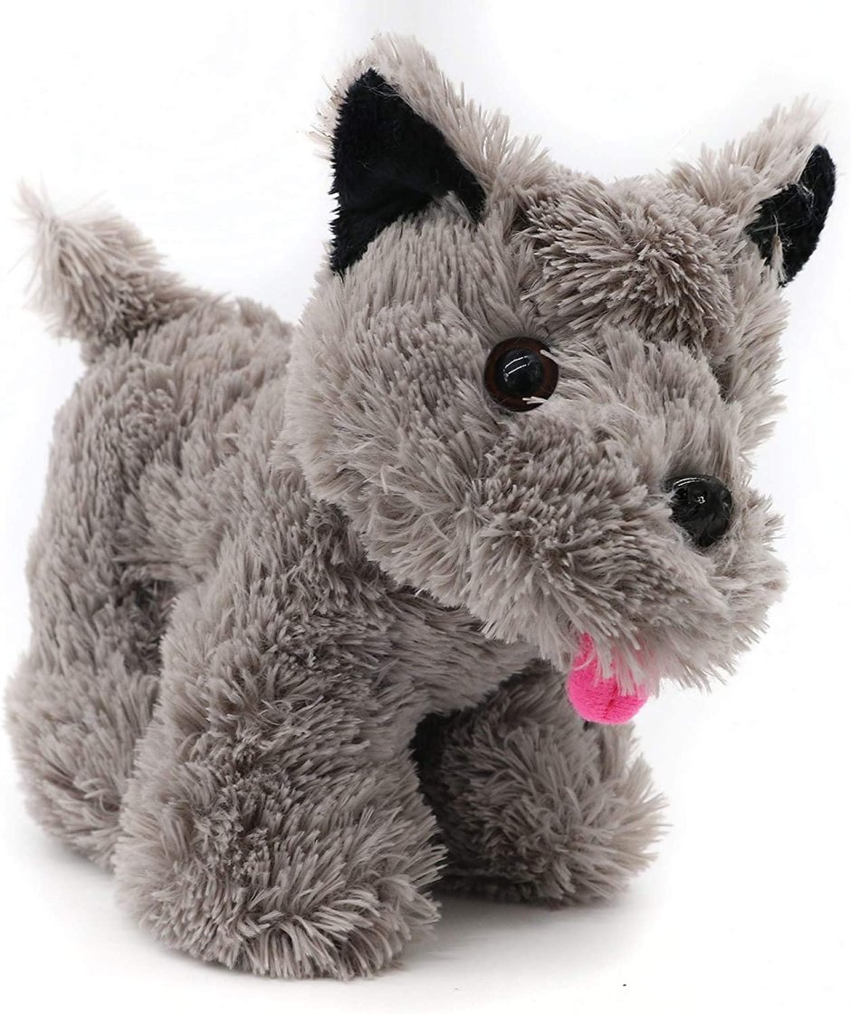 Тотошка собака