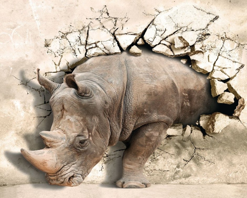 Фотообои 3d носорог