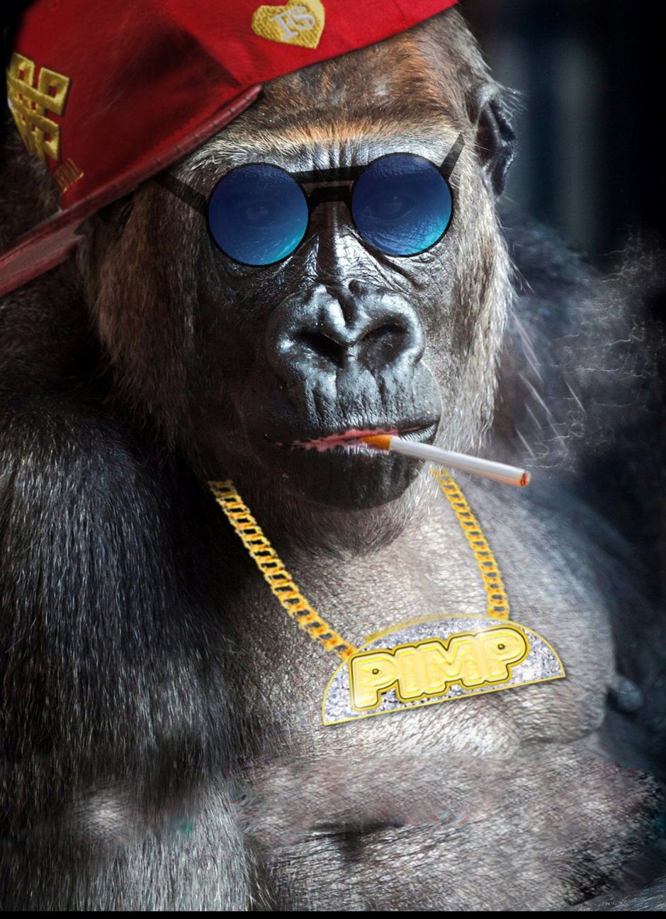 Monkey с сигарой