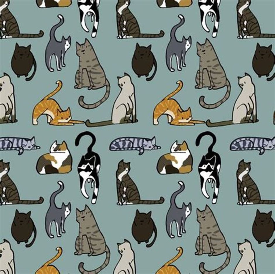 Принты с котом