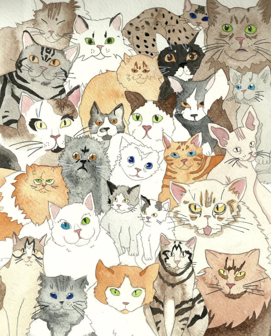 Много котиков