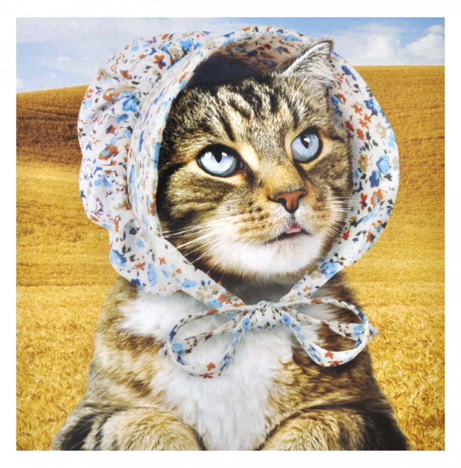 Платок с кошками