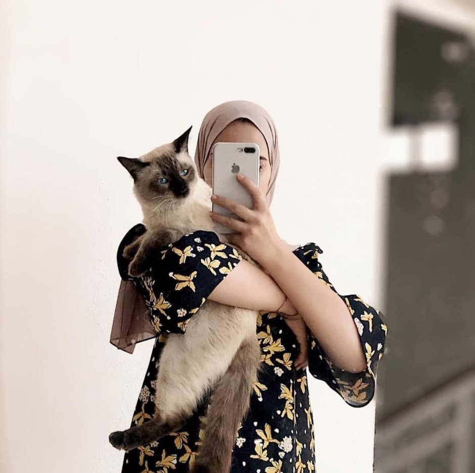Кот в одежде
