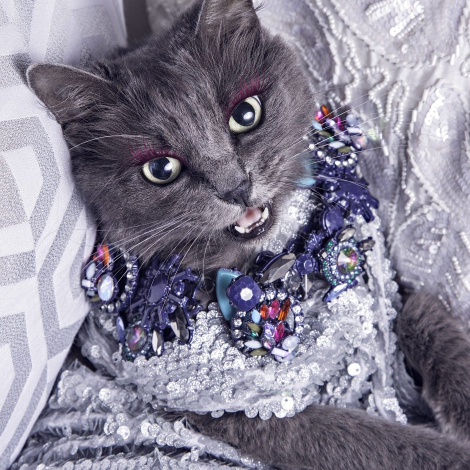 Маски. Котик