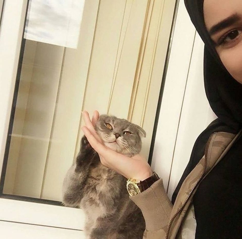 Классные фоточки с котиками
