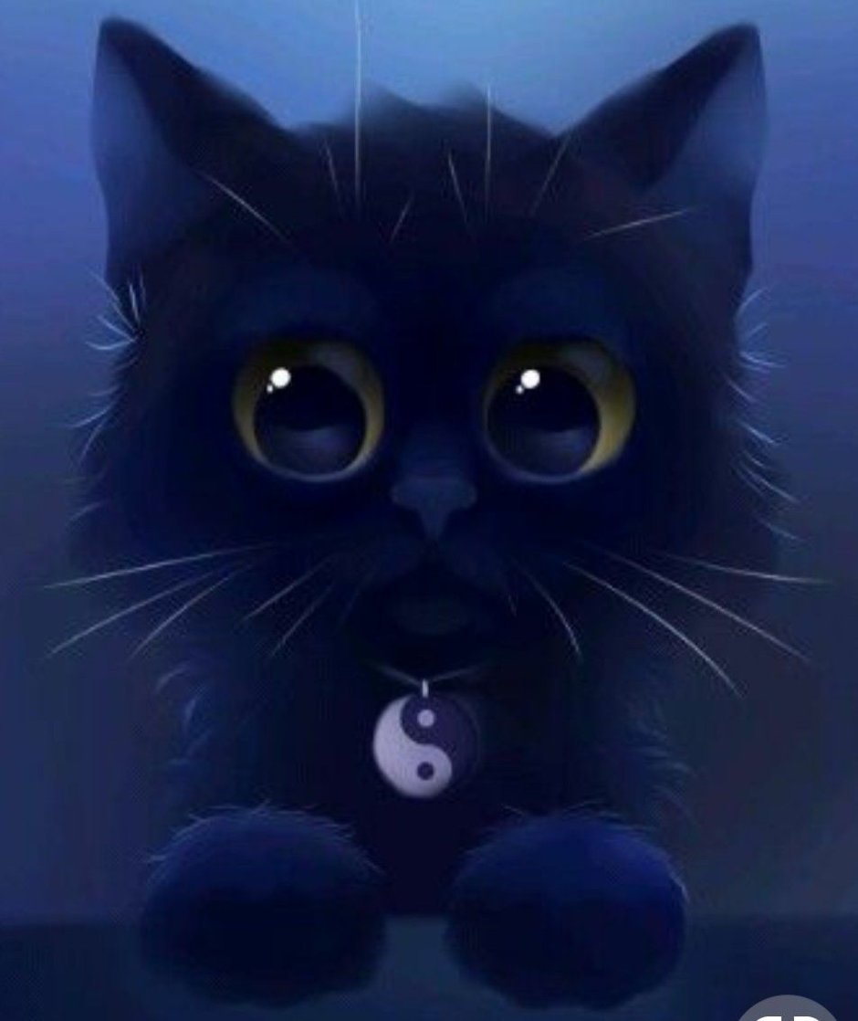 Аниме кот