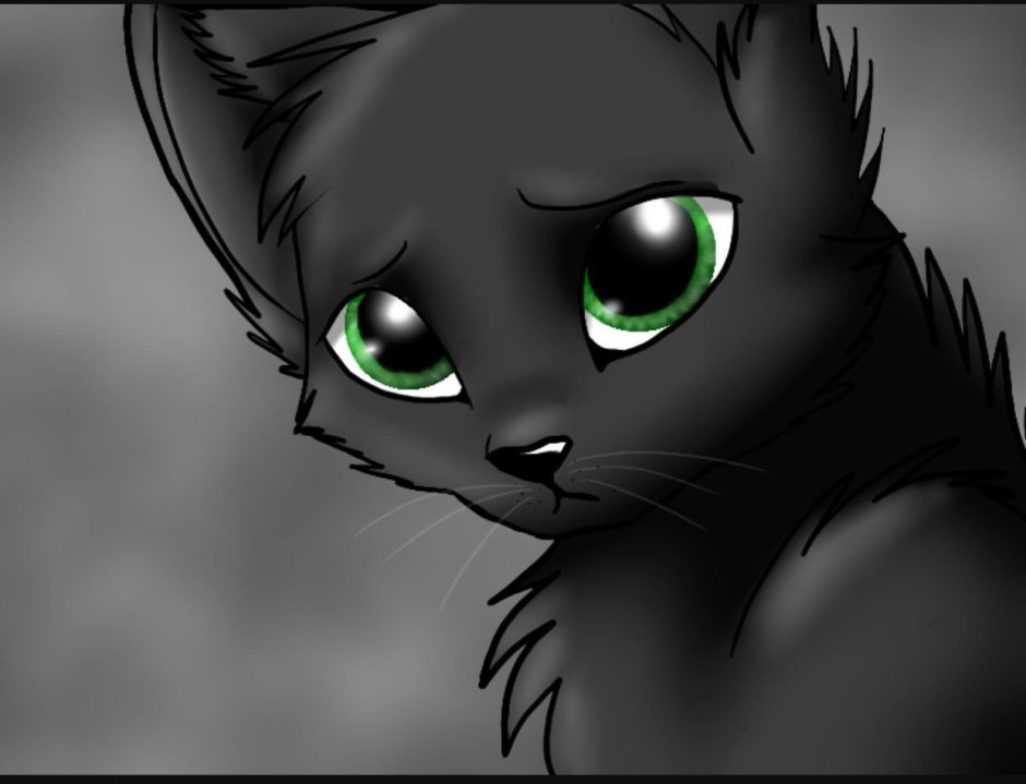 Одинокий кот