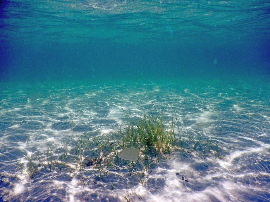 Морское дно