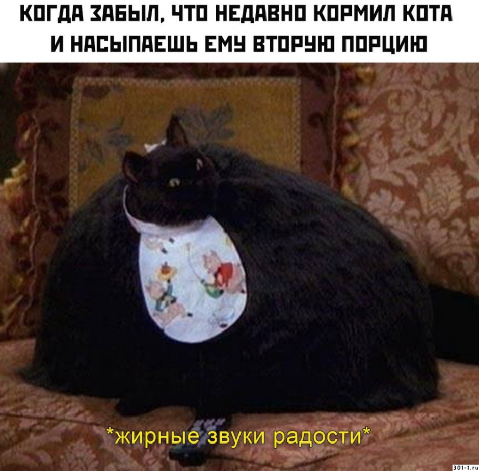 Плачущий кот в кровати