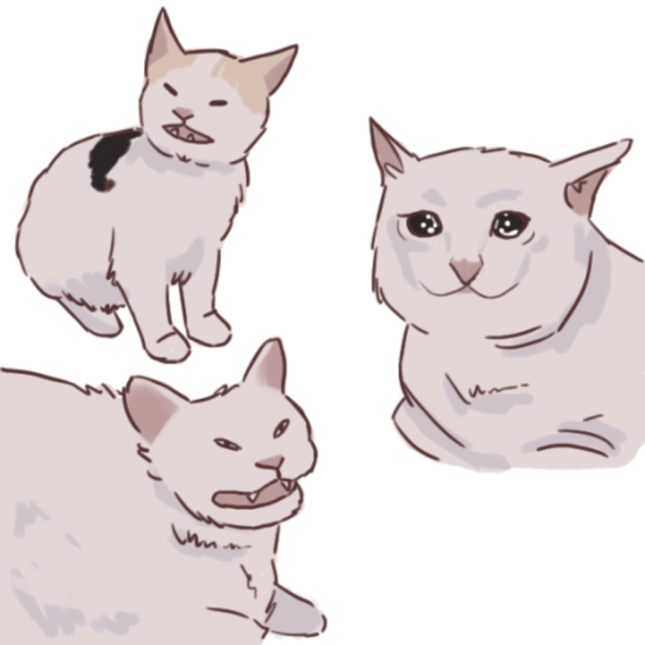 Мемный кот нарисованный