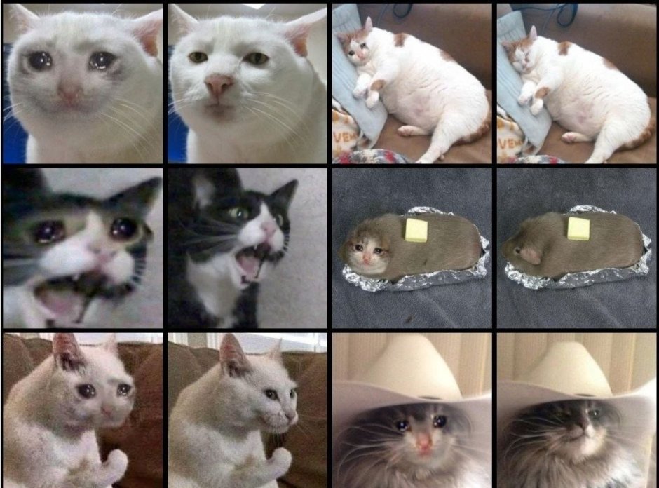 Мемные коты