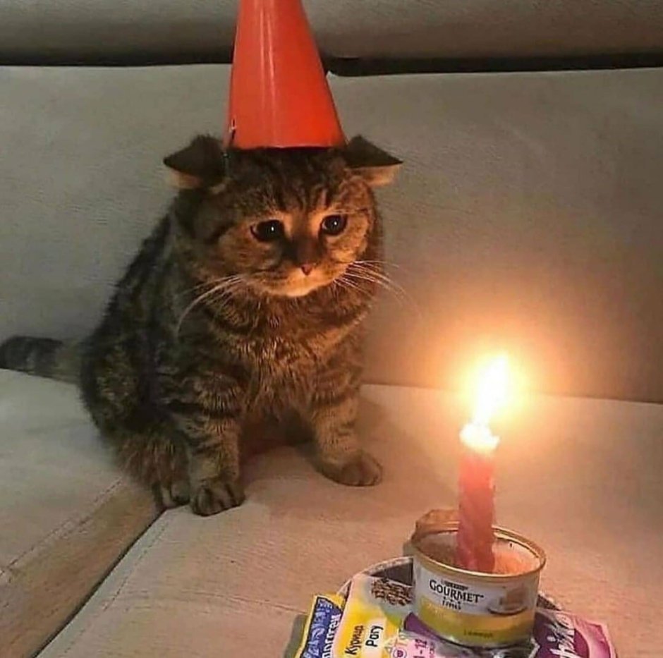 Плачущий кот