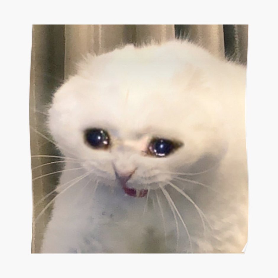 Котик со слезами