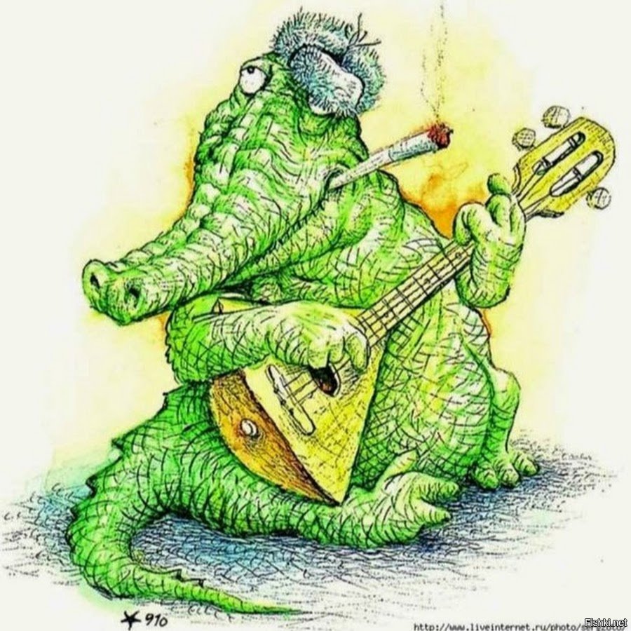 Крокодил идет