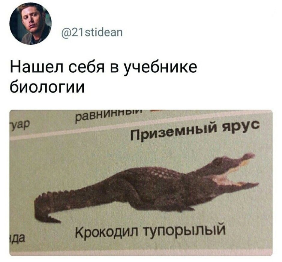 Дети суки заебут кого угодно