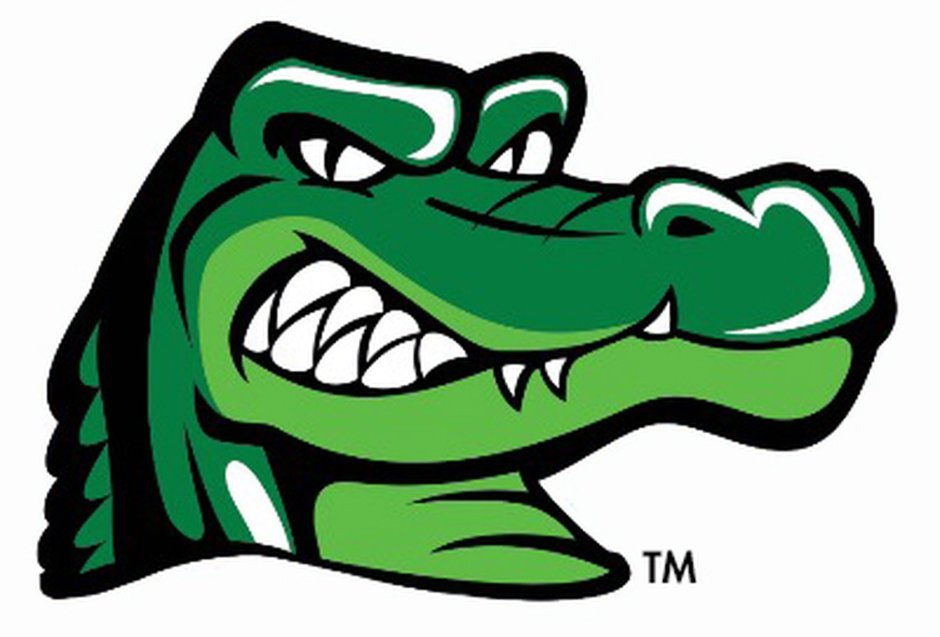 Какого цвета крокодил шутка