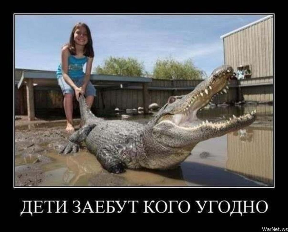 Смешной Крокодильчик