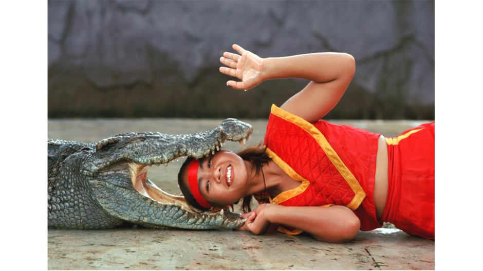 Фотосессия с крокодилом