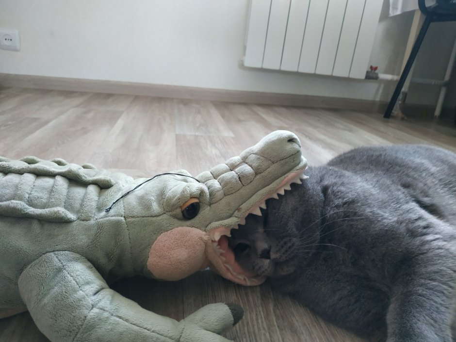 Крокодил с сигаретой