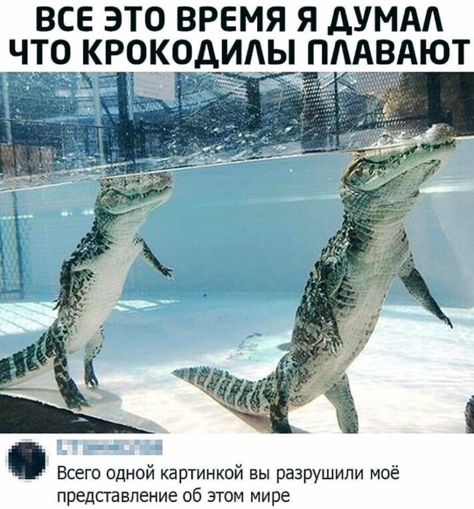 Злой Крокодильчик