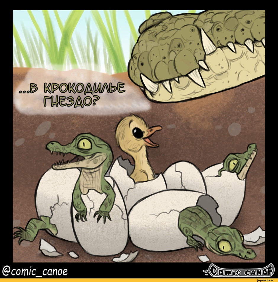 Крокодил мультяшный смешной