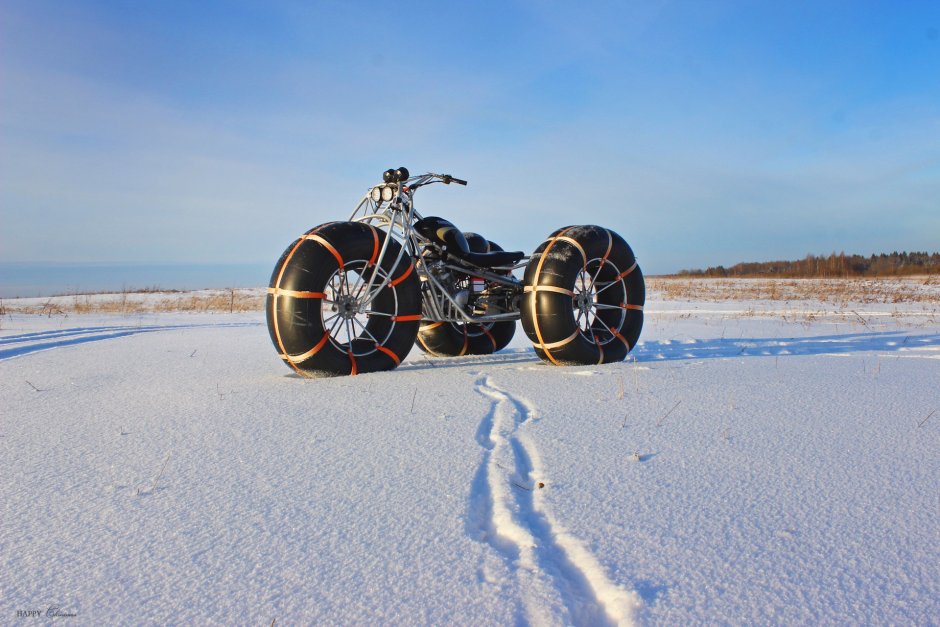 Каракат бобер