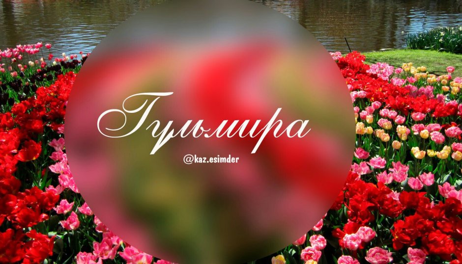 Болотоход Аврора 4х4