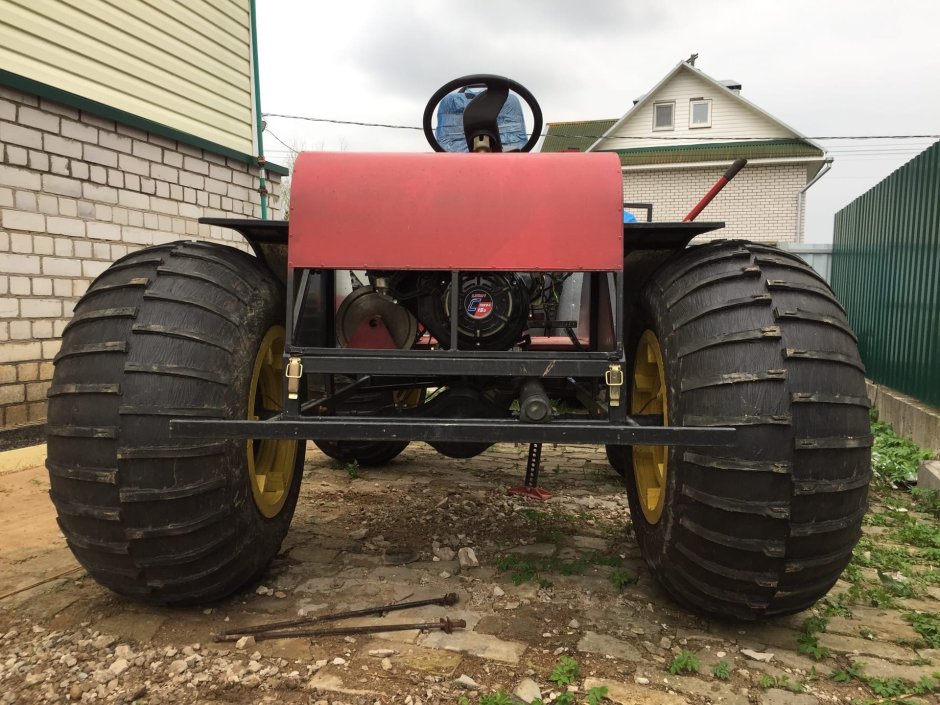 Кот селфи Мем