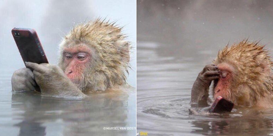 Мем после пьянки