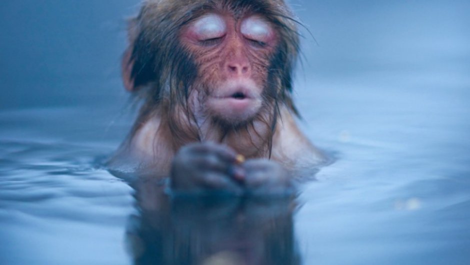 At the end of the Day