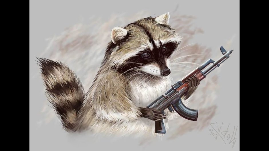 Хани Баджер медоед