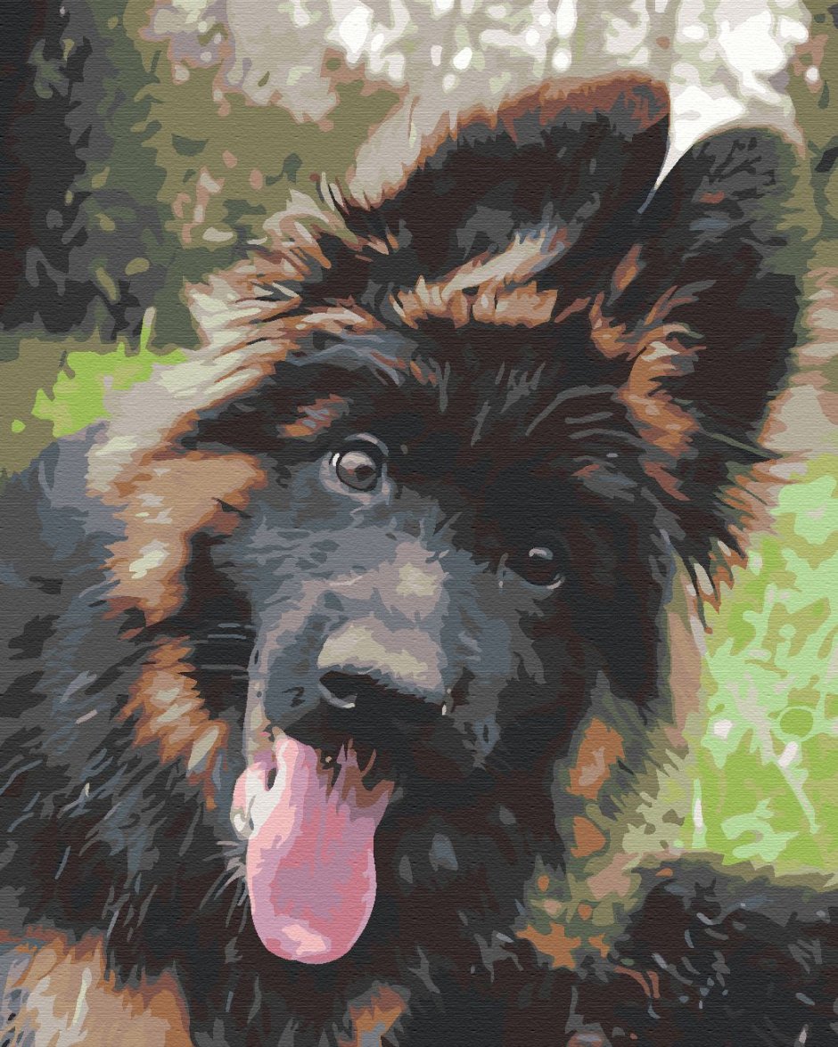 Мохнатая овчарка порода