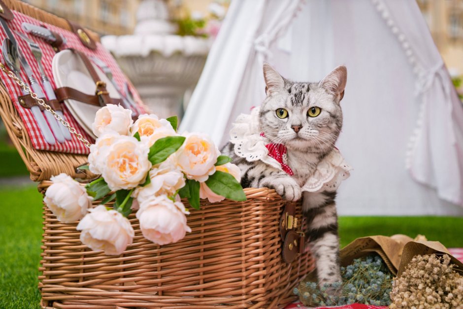 Кошечка в цветах