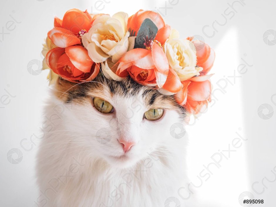 Кошечка в веночке