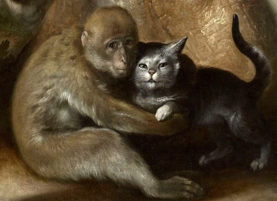 Капуцин тонкотел