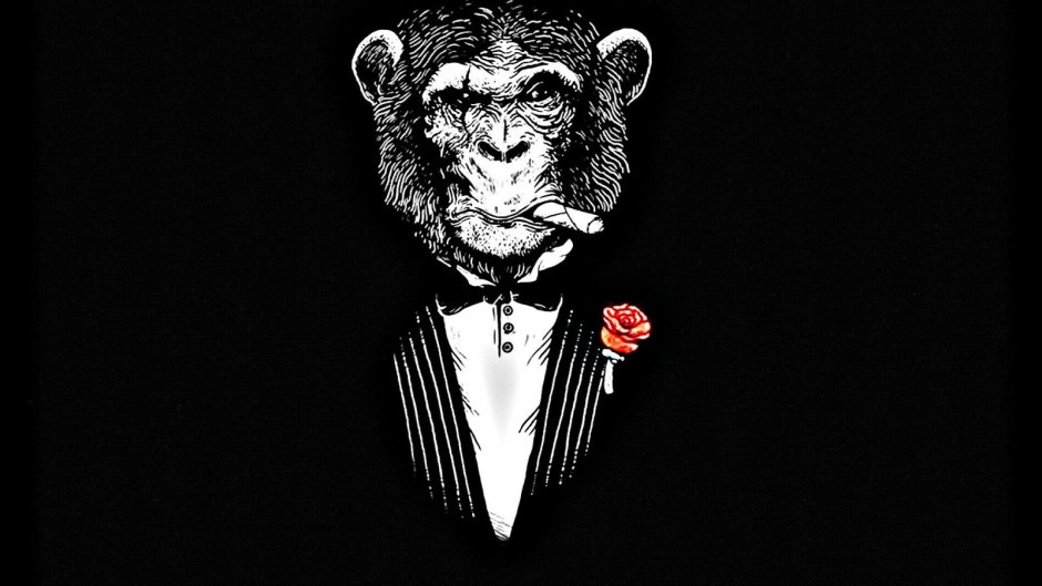 Обезьяна и котенок