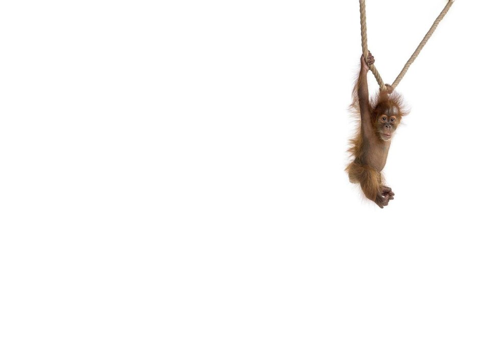 Забавные ситуации